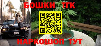 индика Ливны