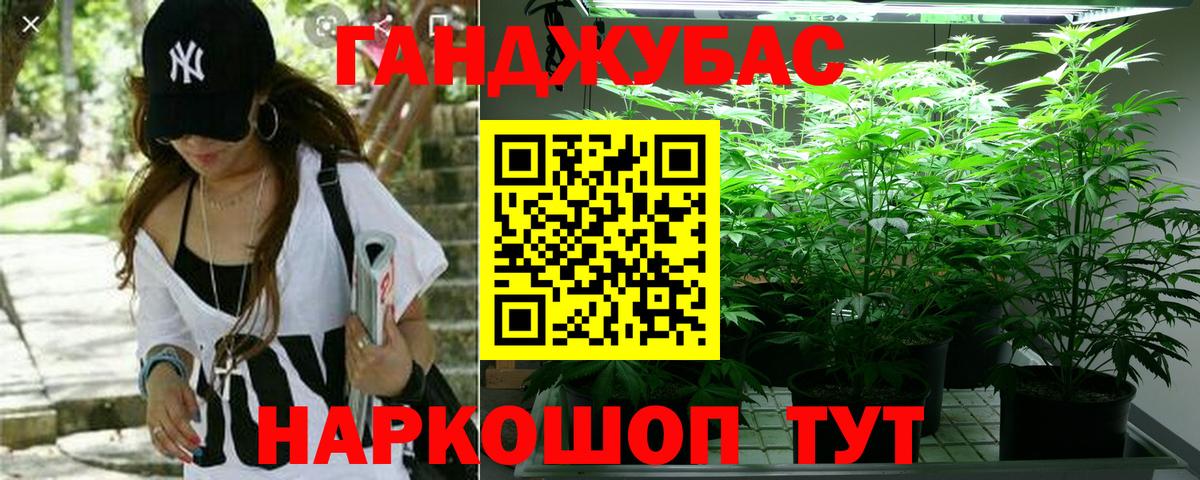 Каннабис SATIVA & INDICA  МАРИХУАНА LSD WEED  Каннабис марихуана  Самара  Вход с VPN 